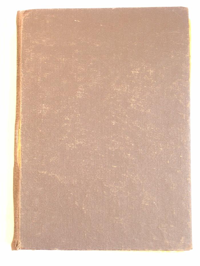 Pinturas, murales, celotex, cerámica