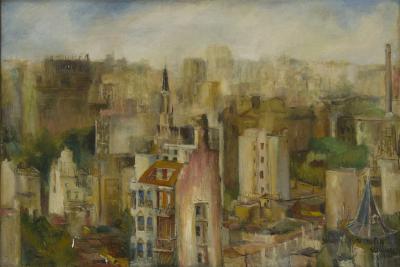 Techos de Buenos Aires