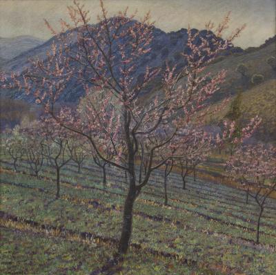 Tarde primaveral