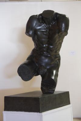 Torso