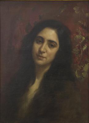 La criollita