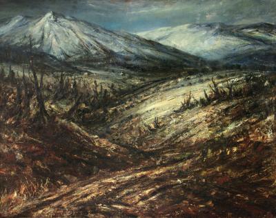 Alrededores de Ushuaia