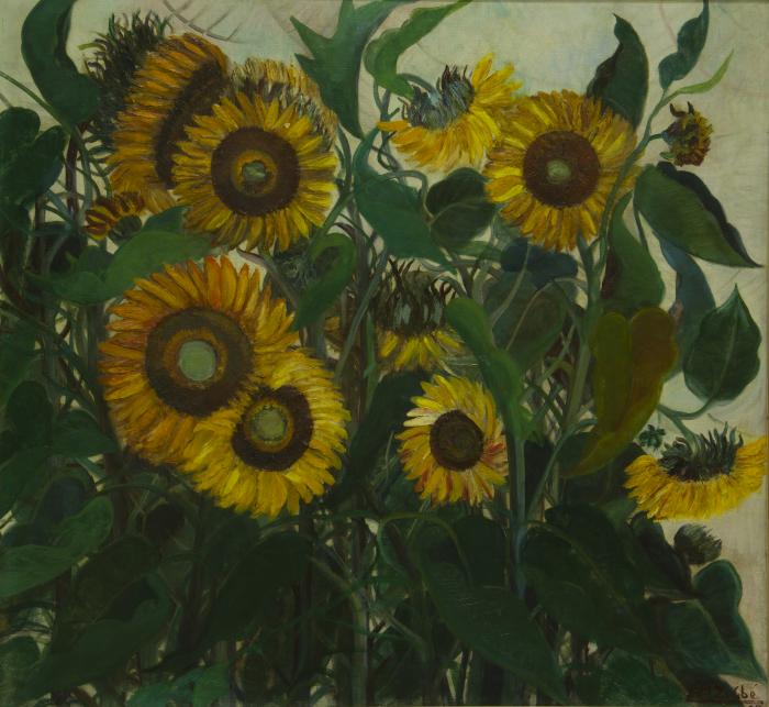 Mirasoles