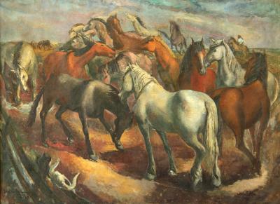Lobo de mar