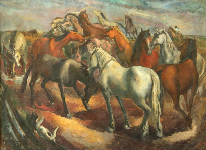 Lobo de mar