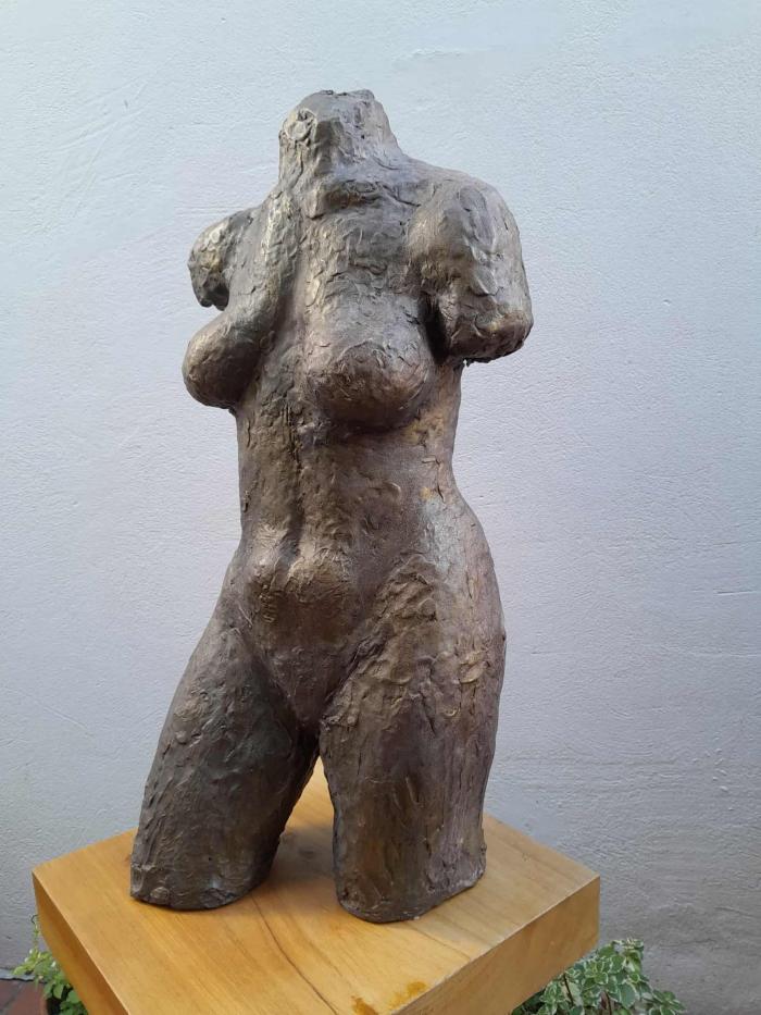 Torso femenino