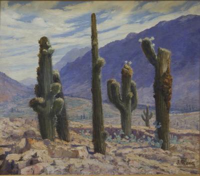 Los cactus del Pucará (Tilcara)