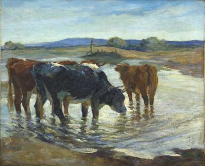 Vacas en la represa