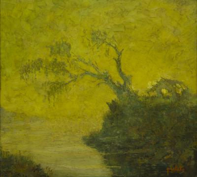 Amanecer en el Delta