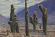 Los cactus del Pucará (Tilcara)