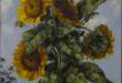 Girasoles