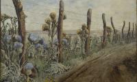 Nucifora, Lola (Dolores Olinda