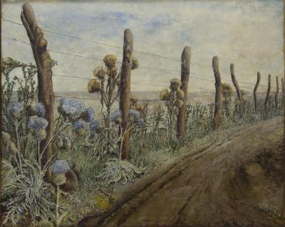 Cardos