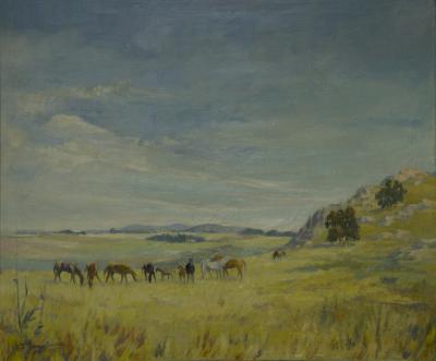 Caballos en las sierras