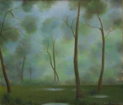 El bosque después de la lluvia