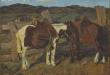 Caballos serranos