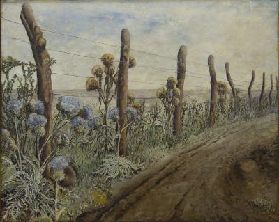 Cardos