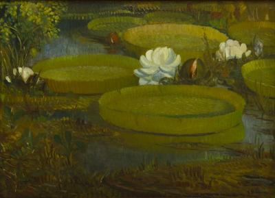 Irupés en flor