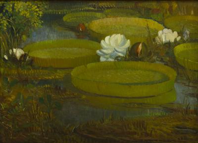 Irupés en flor