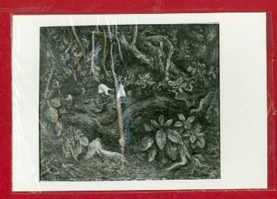 Baldini Laertes