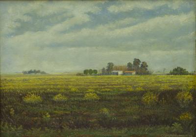 Campo en flor